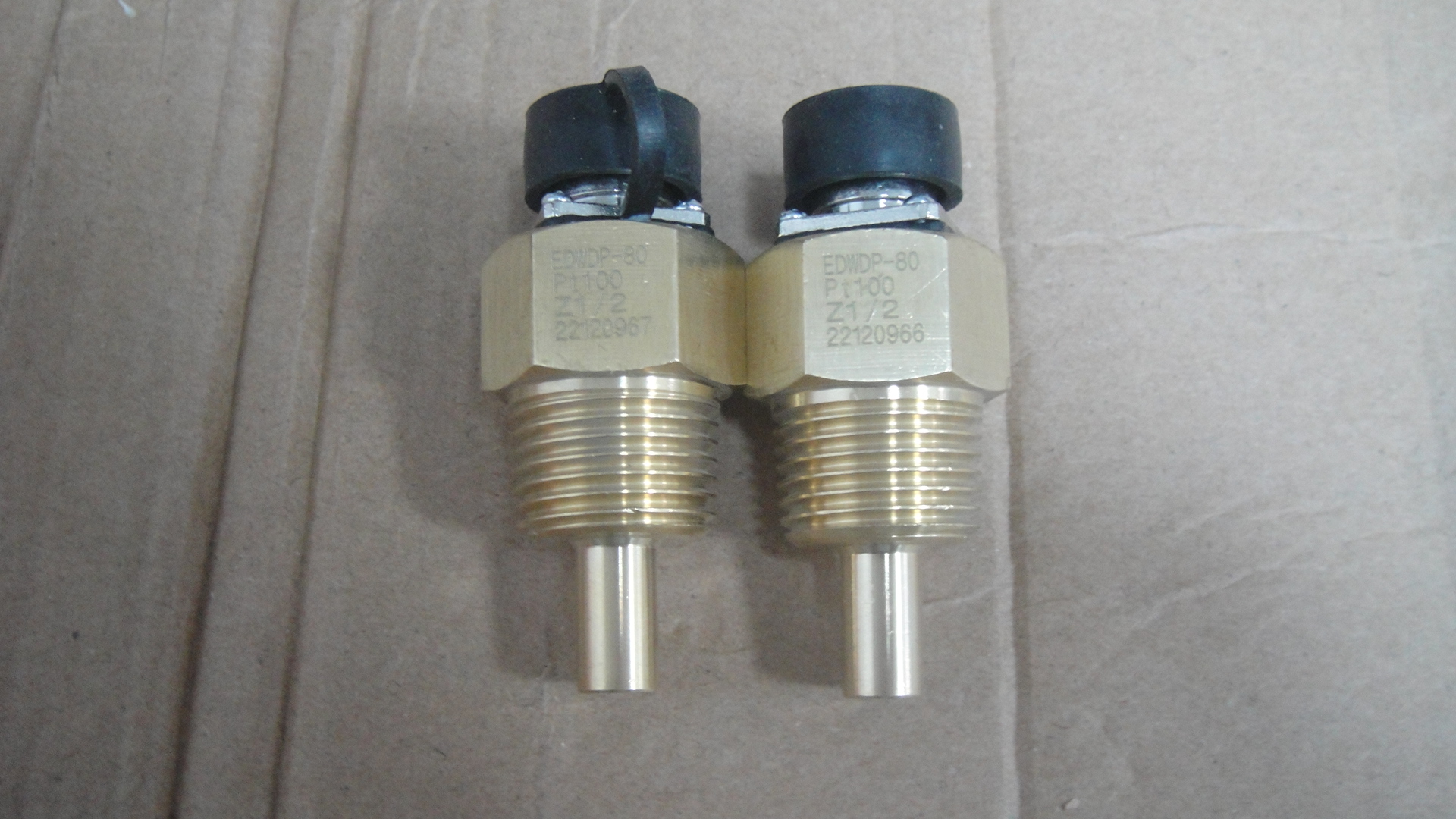 Sensor Pt100 Sensor Pt100