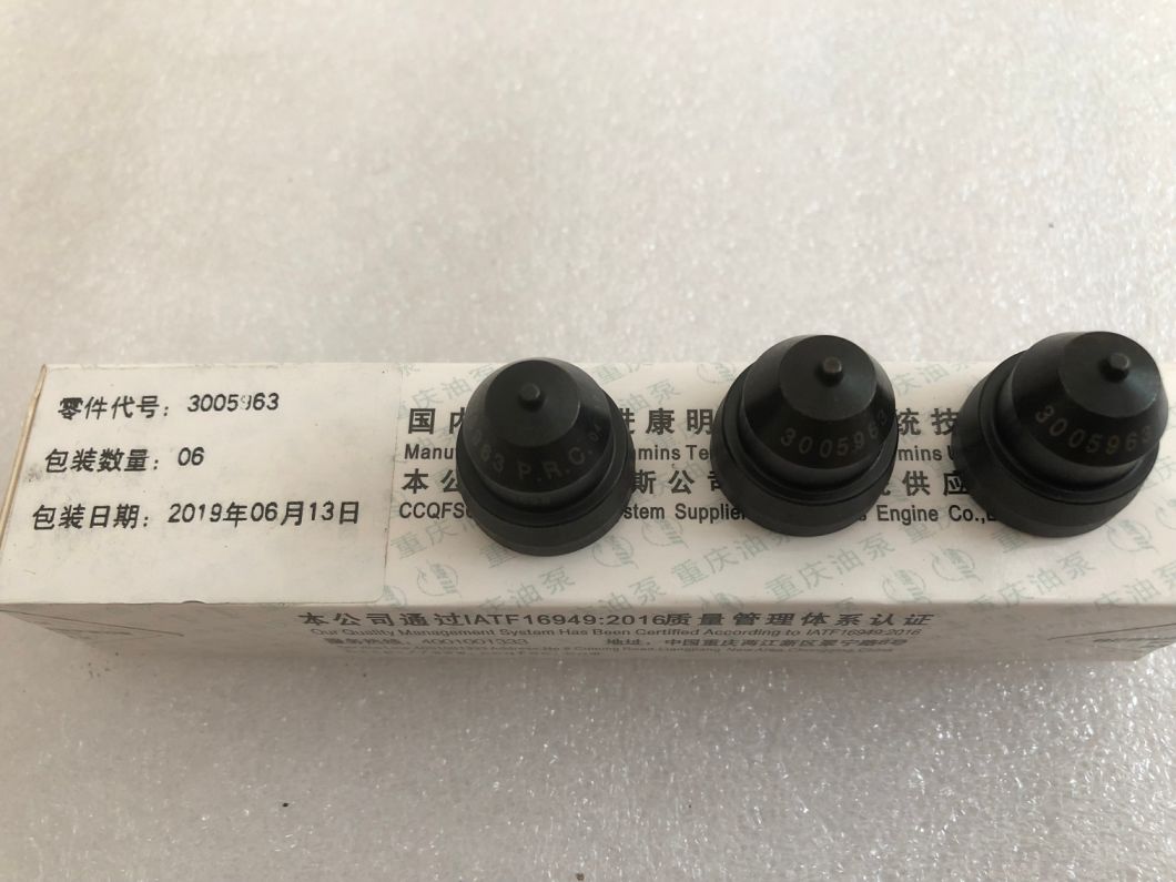 3005963-Injector-Cup-Oil-Fuel-Pump-for-OEM-Ccec-Cummis 3005963-Injector-Cup-Oil-Fuel-Pump-for-OEM-Ccec-Cummis