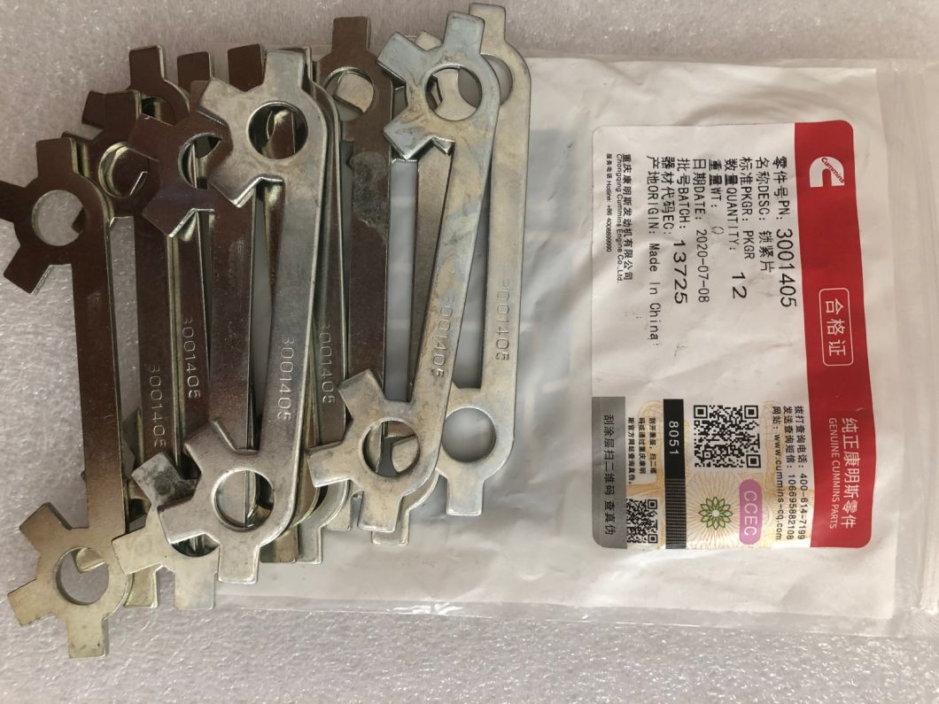 3001405 Lock Plate