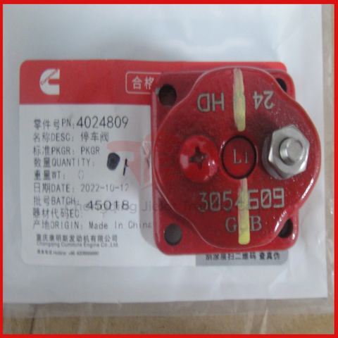 24V Solenoid Fuel Kit 4024809