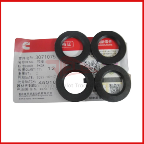 Head Bolt Washer 3071075