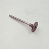 Cummins Marine Diesel Engine 145701 Exhaust Valve In Stock