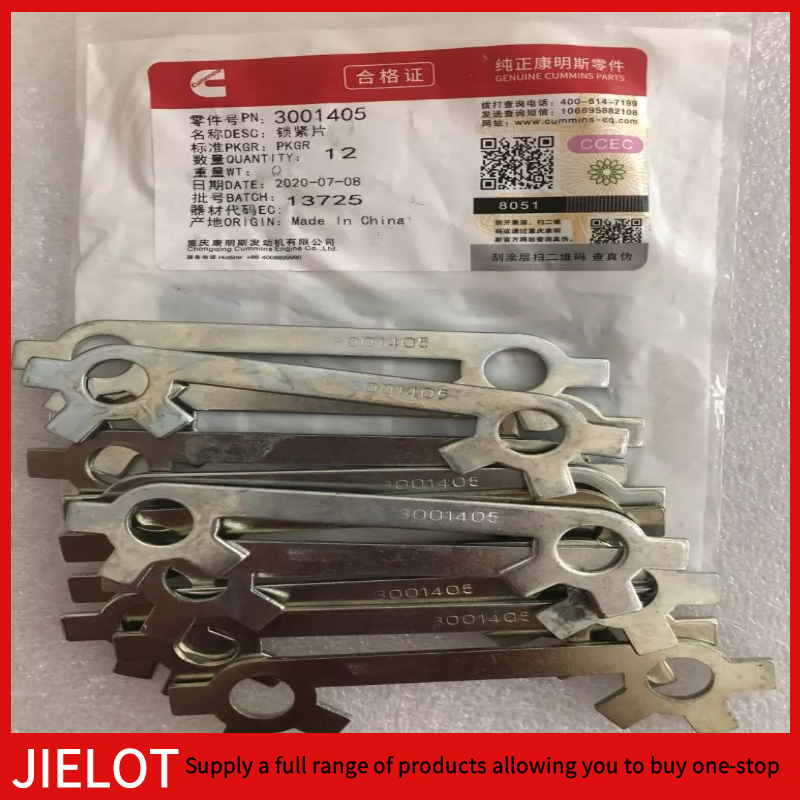 3001405 Lock Plate