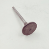 Cummins Marine Diesel Engine 135957 Intake Valve