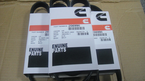 Cummins V-Ribbed Belt 206996