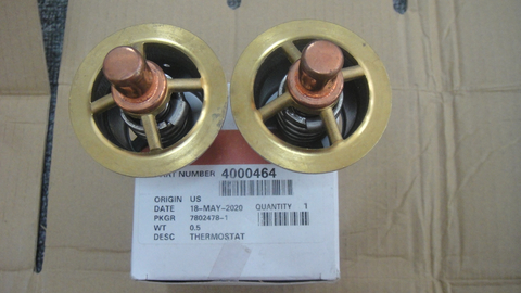 4000464 Thermostat for Cummins Engine
