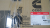 Genuine Cummins Main Bearing Set AR12270