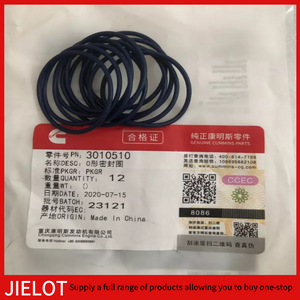 3010510 O-Rings Plastic Seals for Cummis Diesel Engine