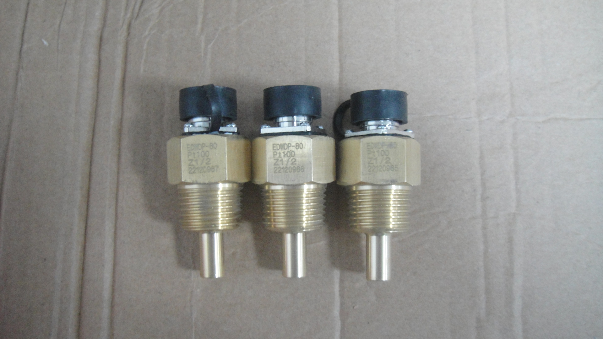 CCEC Sensor Pt100 